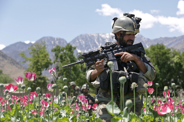 Like elephant poaching, poppy farms are found in poor, remote regions. (Kaily Brown/U.S. Army)