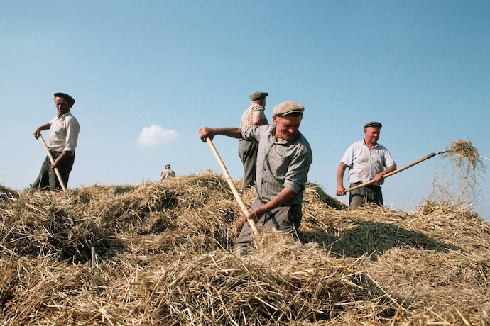 Ukrainian farmers in 1991