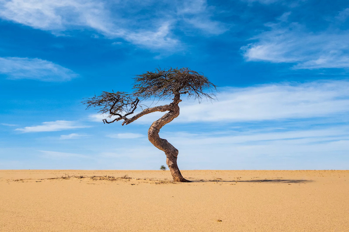 Africa climate change