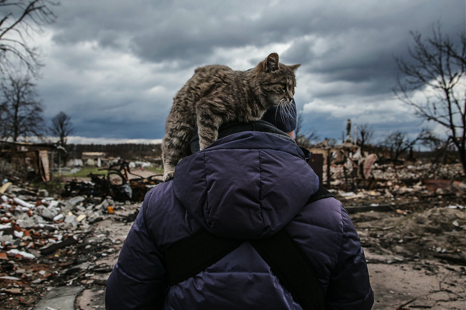 Ukrainians surveying their destroyed home