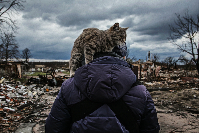 Ukrainian surveying the destruction of Novoselivka, near Chernihiv