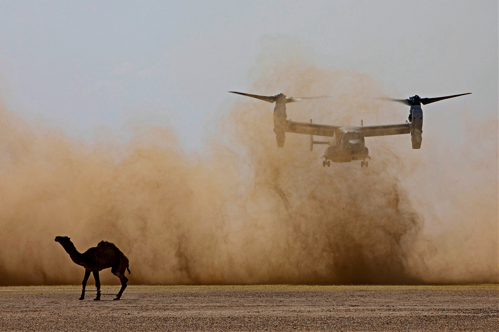 V-22 Osprey landing in Kuwait