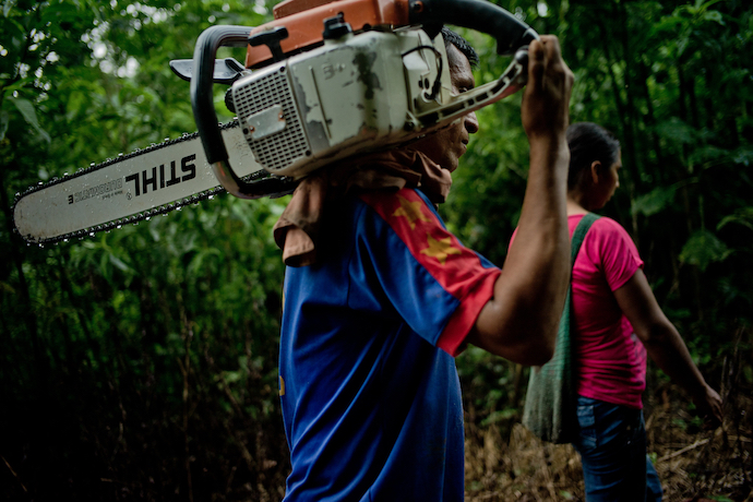 A family clear cutting the jungle to sell timber and farm the land in Coca, Ecuador