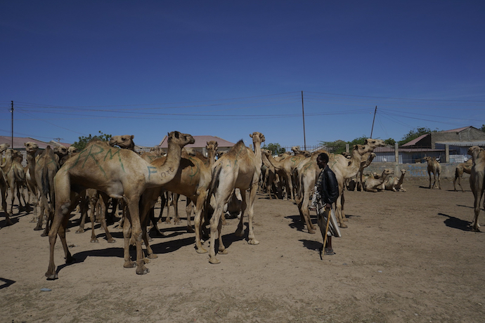 Outdoor market in Somaliland