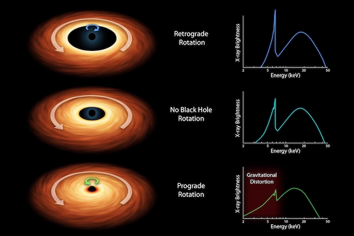 Black holes are extraordinary celestial bodies with gravitational forces so intense that they warp and bend space-time—the underlying framework of the universe