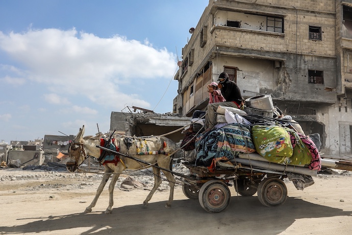 Due to a shortage of fuel, Palestinians use donkey carts to get around