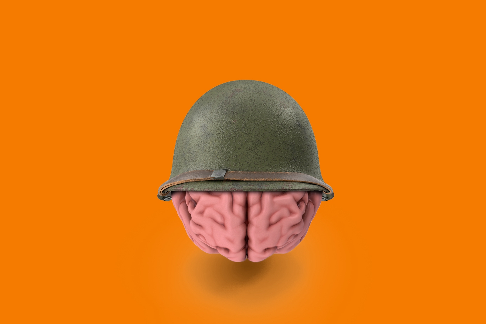 Human brain during war